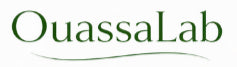 OUASSALAB